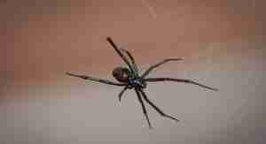 הדייט שאילף אותי